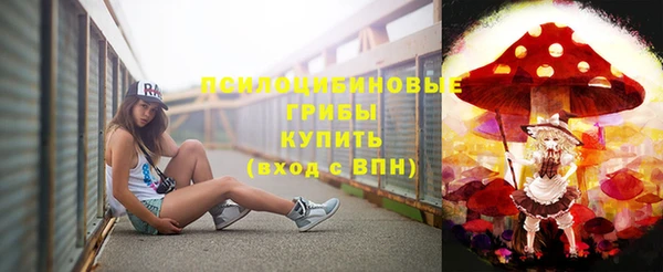 бошки Пестово