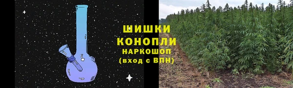 бошки Пестово