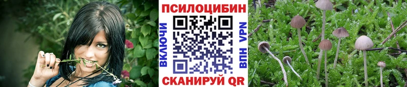 купить  сайты  ссылка на мегу рабочий сайт  Галлюциногенные грибы MAGIC MUSHROOMS  Берёзовка 